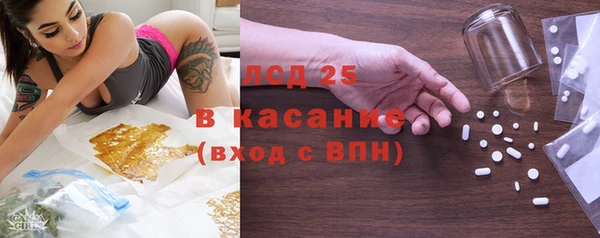 прущие грибы Баксан