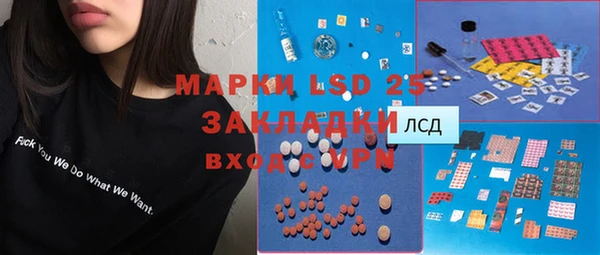 прущие грибы Баксан