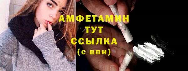 прущие грибы Баксан