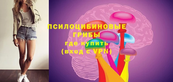 дурь Балахна