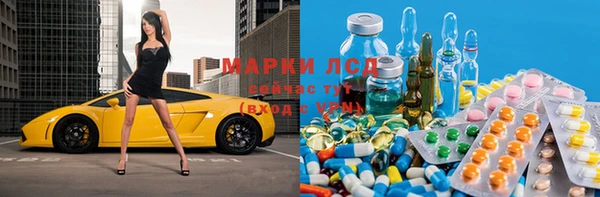 прущие грибы Баксан