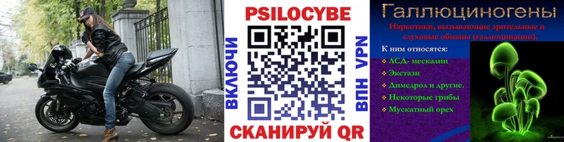 Галлюциногенные грибы мухоморы  Гаврилов Посад 