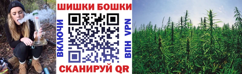 Каннабис OG Kush  блэк спрут сайт  Гаврилов Посад 